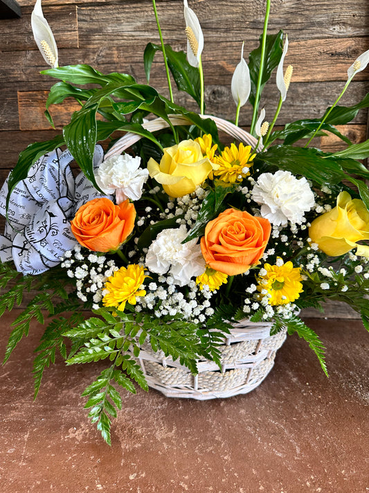Plant/ Flower basket