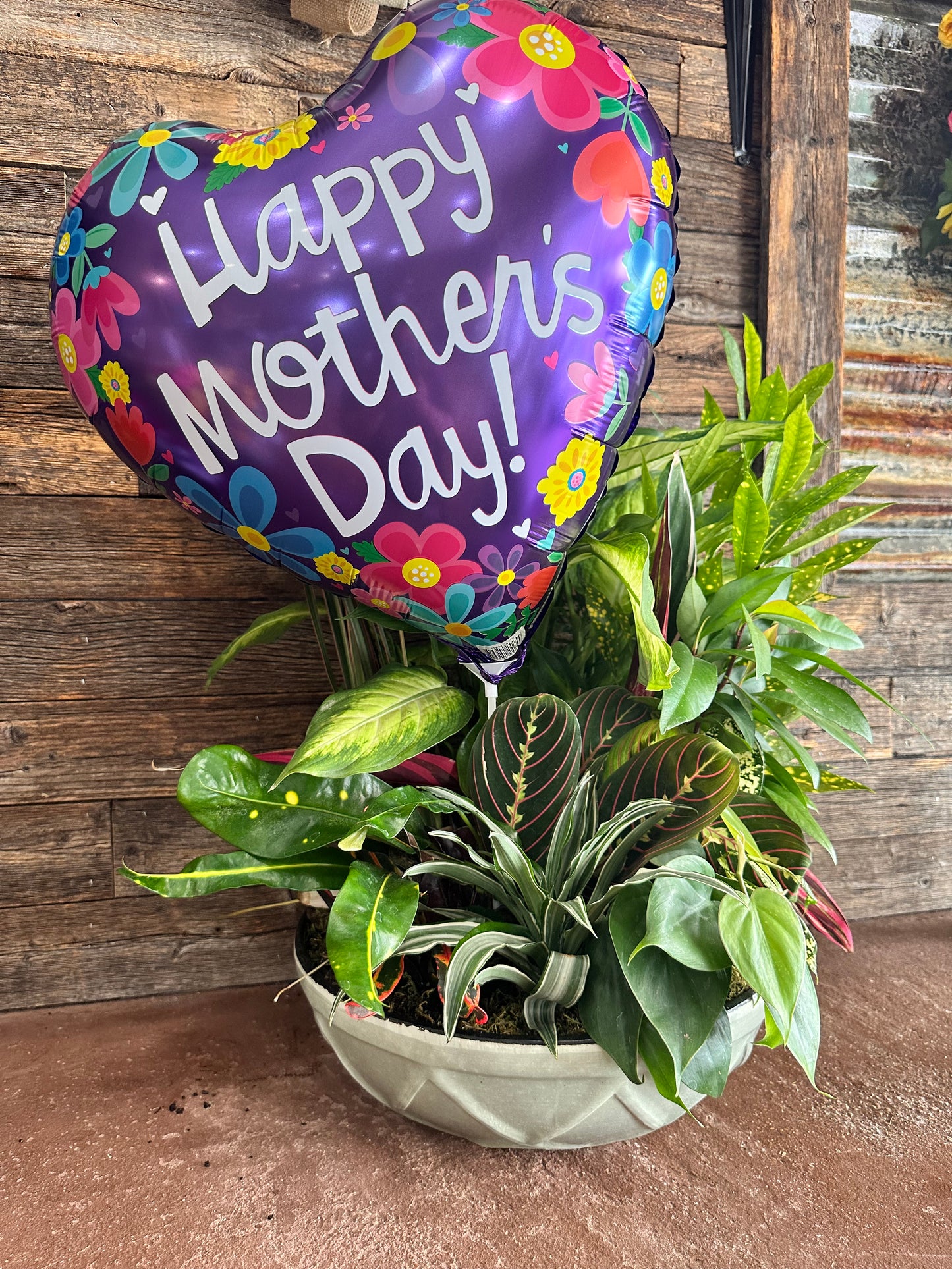 Mothers Day Plant