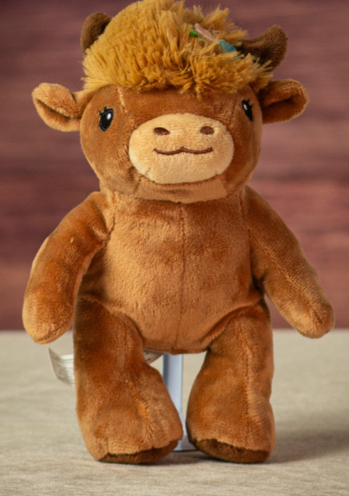 Daisy and Duke Highland Cow