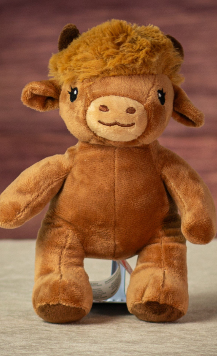 Daisy and Duke Highland Cow